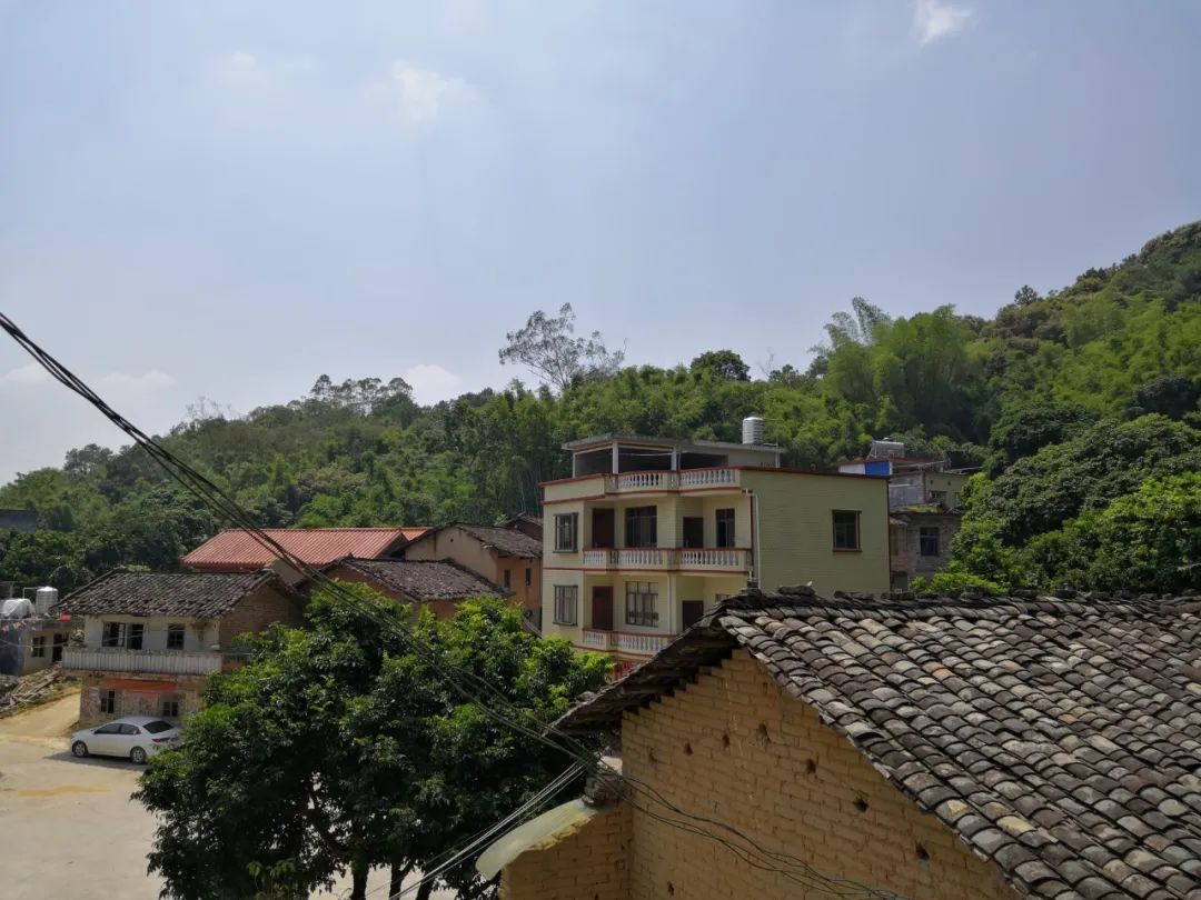 圣運律師解析補償不合理的背后原因：土地調查確認表存在造假嫌疑！