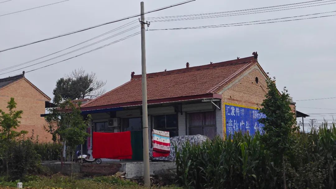 不能證明房屋由其他主體強制拆除的，由受益主體承擔責任